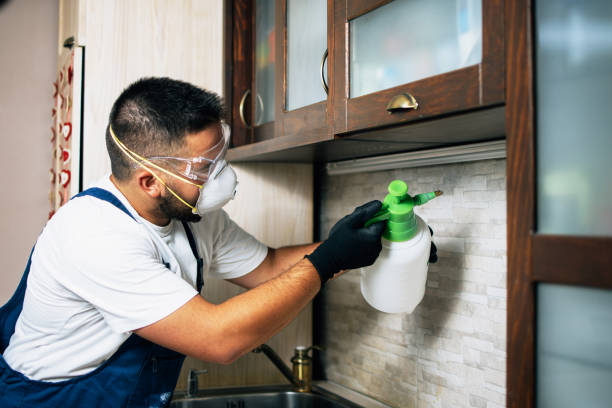Arden Arcade, CA Pest Control Company